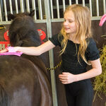 open dag 2024